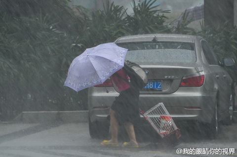 “暴雨花”云团突袭广西 狂风骤雨劈折树腰
