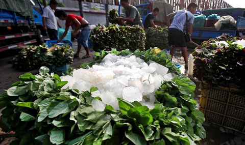 “秋老虎”来了?专家提醒:伏热持久战还将继续