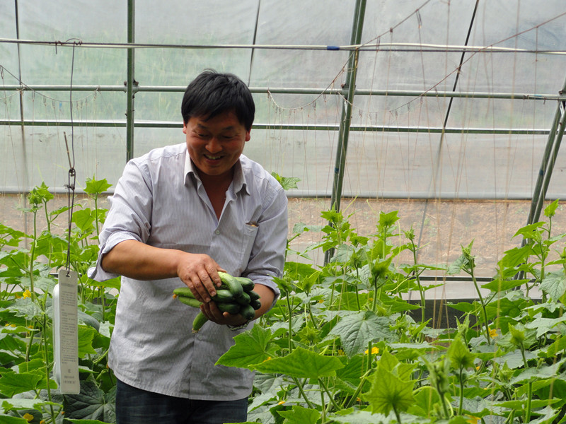 ����Ѯ�������������¼��� �¸������չ��ͼ��2��