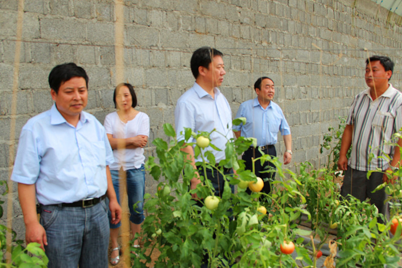 ����Ѯ�������������¼��� �¸������չ��ͼ��3��