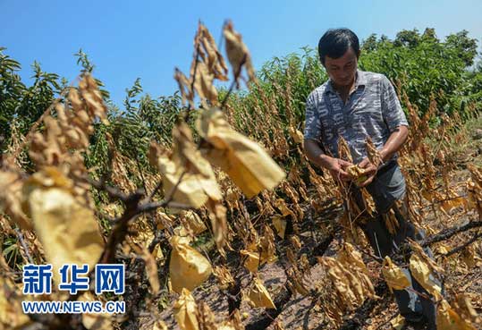 全国40℃高温区域浙江卫冕称王 一天蒸发5个西湖