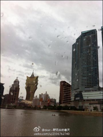 �����ء���Ϯ ������ʮ�ܺ���ȡ�����ֹ���ͣ��