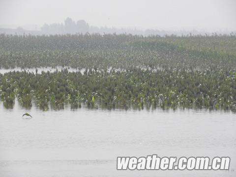 吉林暴雨将至防洪受考验