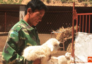 陕西神木花石崖:种养殖开启农民致富门