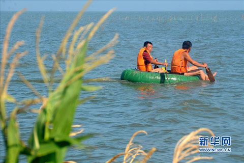 强降雨围困吉林东部 东辽河流域超汛限水位