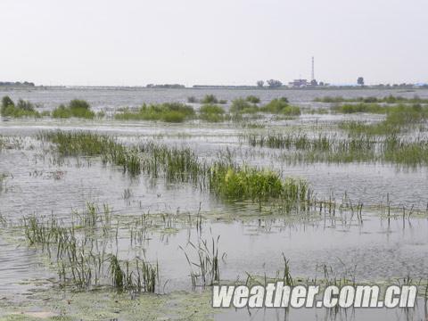 吉林暴雨致汛情不断变化 嫩江洮儿河汛情严峻