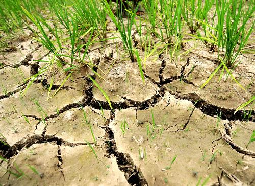 ǽص˼¼Ҵĸѵ815㣩