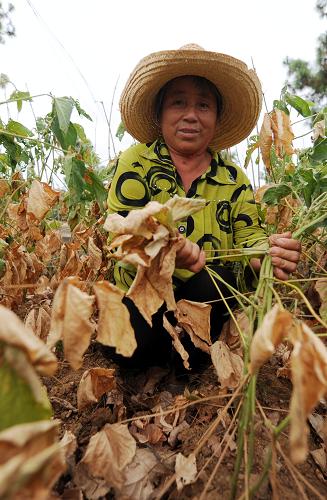 815գڽص˼¼Ҵ壬57ĴӢչʾܺũ