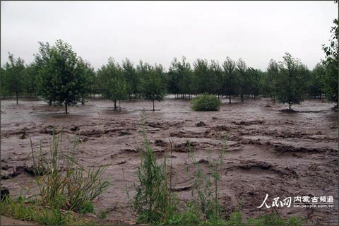 ���ɹŶ�����������Ƽ�ֵѴ���Ͼ� δ�������Զ���