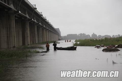 松花江佳木斯段水位持续上涨 农户庄稼被淹