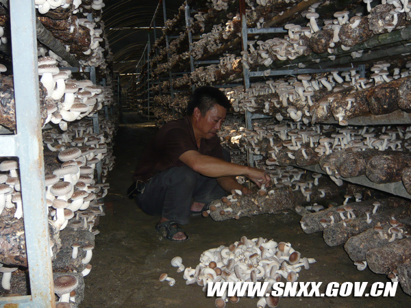 ����״��