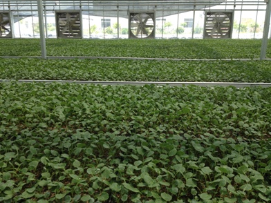 �㽭̨��·������ʩũҵ����������