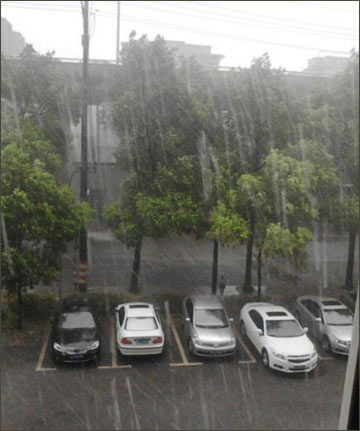 长沙连续48天高温后迎首场明显降雨 小伙伴们都惊呆了