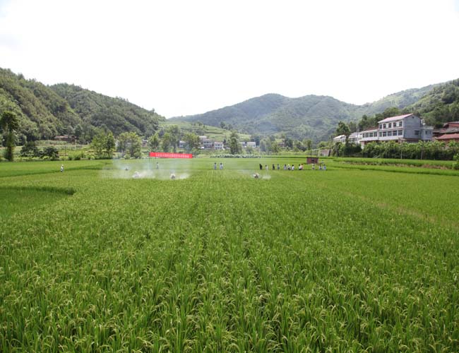 ����ʯȪ����չˮ��������ι���