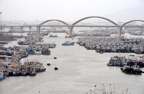8月21日,渔船云集浙江省舟山市沈家门渔港躲避今年第12号台风“潭美”