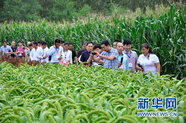 �����ǲιۺ�����ʡũ��Ժ�绯��Ժ������������