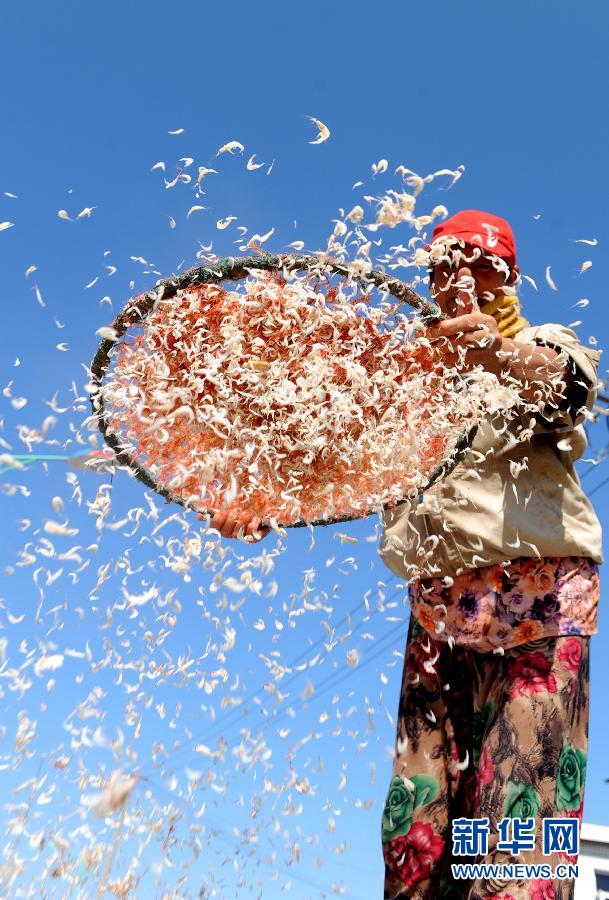 8��21�գ�����ʡ���Ƹ��������������������ɹϺƤ