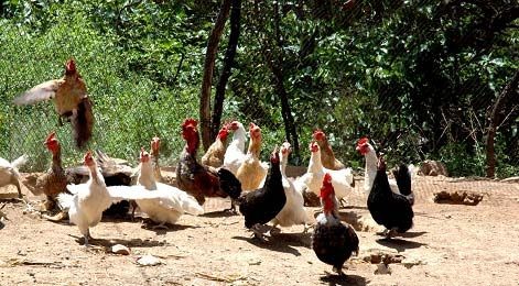 ���ţ�˻��紴ҵ ����4000ֻ��׬30��