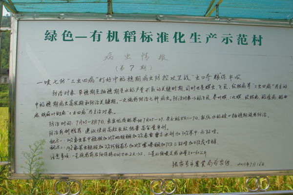 张家界“鱼泉贡米”成熟了:技术指导牌