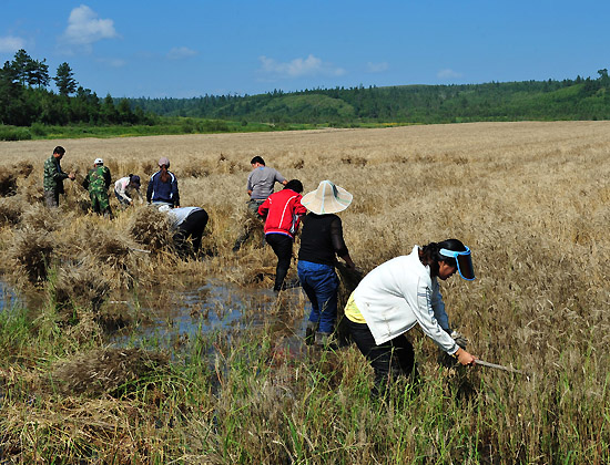 8��21�գ�������ʡ�����غ�������ɽ�ڴ�Ĵ������ڴ��л�ˮ�����������С��