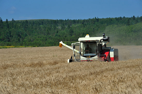 8��21�գ�һ̨�Ĵ�ʽ�����ո���ں�����ʡ�����غ�������ɽ�ڴ�����С��