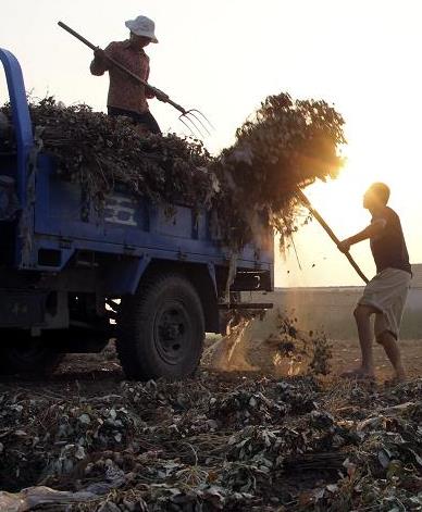 822գʡڻسǹũջ컨װ