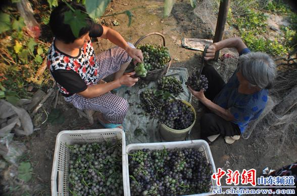 821գĳƽؼկ򹢴ׯũժõװ