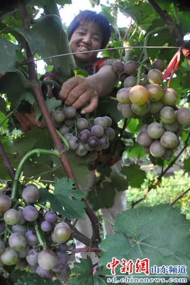 821գĳƽؼկ򹢴ׯũ񹢹ڲժ