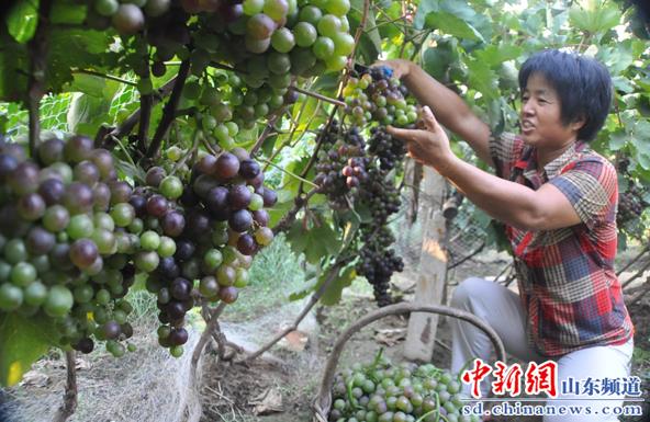 821գĳƽؼկ򹢴ׯũ񹢹ڲժ