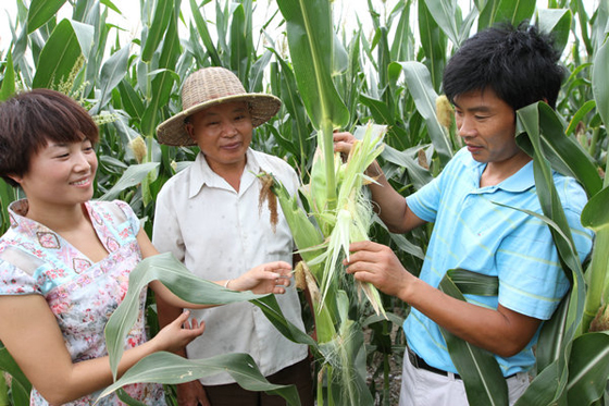 ���գ�ũ����Ա����ͷ�������β���