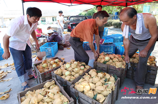 浙江宁海胡陈水蜜桃销售额突破9000万元