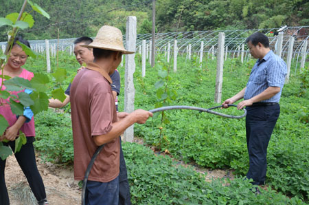 ũҵũʦһũԱ¥ָ̨