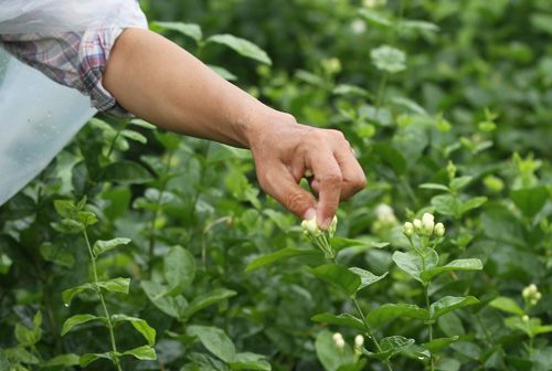 �����������򻨻�÷���