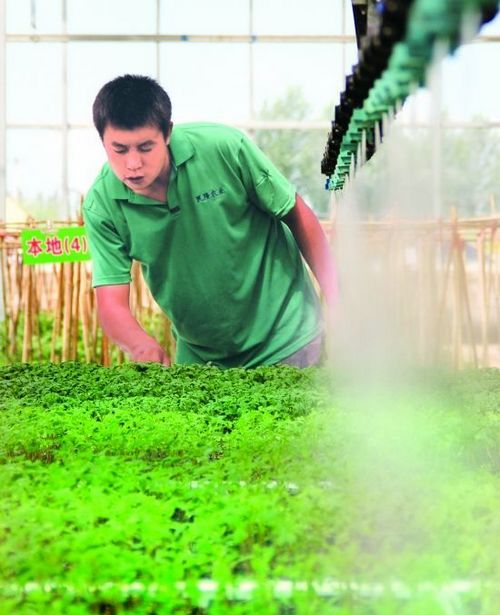 ���ɹŰ����׶�����ԭ�������߲���Ʒ��