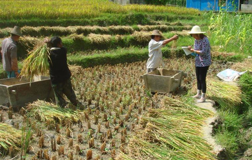 Ͻƽ1Ķˮ߲Ƭ375.7Ԫ