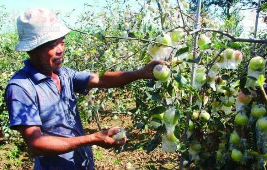 ɽ�����պ�ɽ�����ƫ�������� ����ƻ����������