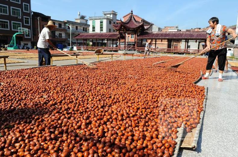 �㽭��������ϲ����