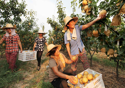 ���գ���ӲӵĻƾ��������