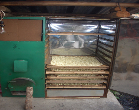 福建建宁:新型莲子烘干机受欢迎