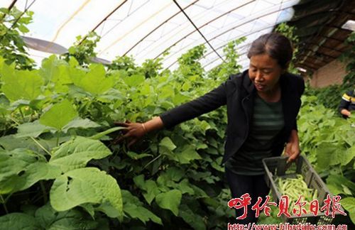 ͼΪ������װ���������Աɽ�����ڴ������ժ����׼�������ܱ߿�ɽ