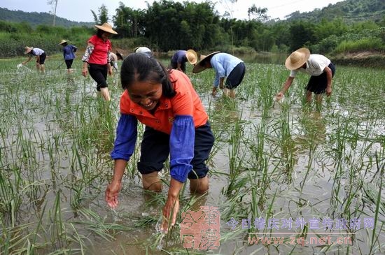 ��ˮ�˵����� �㶫�⿪ũ��æ����