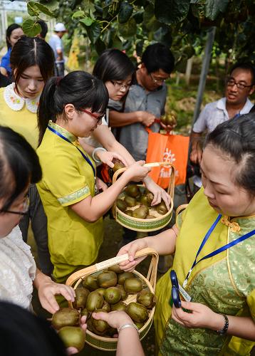 827գοһ⨺ҹ԰ժ⨺