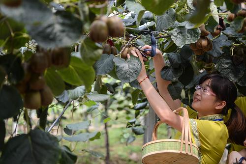 827գһ⨺ҹ԰Աڲժ⨺