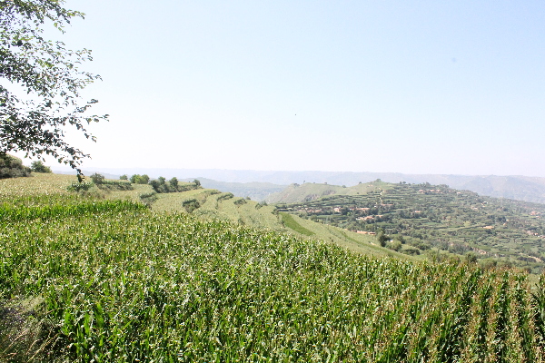 ɺũҵȫĤ˫¢ƹ35.6Ķ