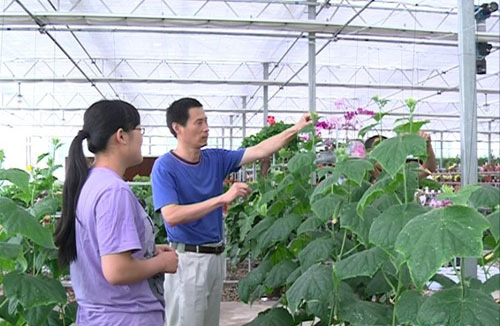 ½տشĶ̬ũҵƼʾ԰