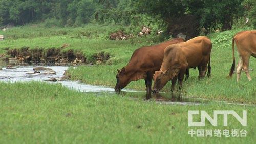 ¸ţʤţţţ ͻ200ͼ1