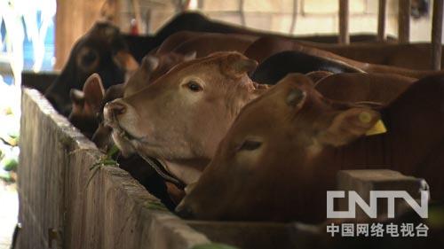 ¸ţʤţţţ ͻ200ͼ5