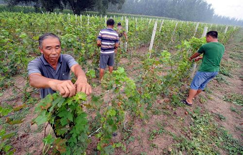 8��28�գ��ӱ��������ϵ̴�����ڸô���ת��ȥ�������ϡ��򹤡���