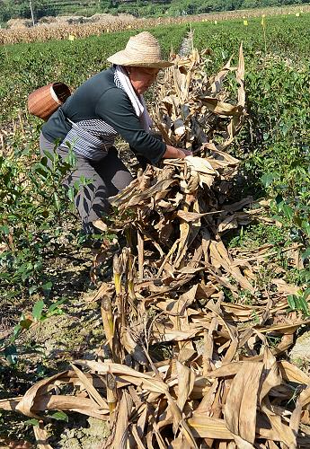 828գʡˮӴũףƽջ׽ո˷ڲ԰