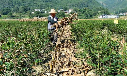 828գʡˮӴũףƽջ׽ո˷ڲ԰